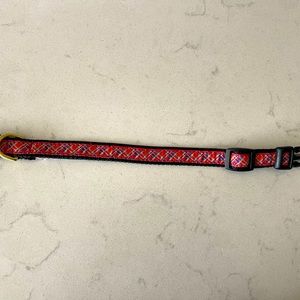 XS dog collar just in time for the holidays